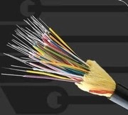 ��ҳ| ����ᡤjnh�й��ٷ���վ