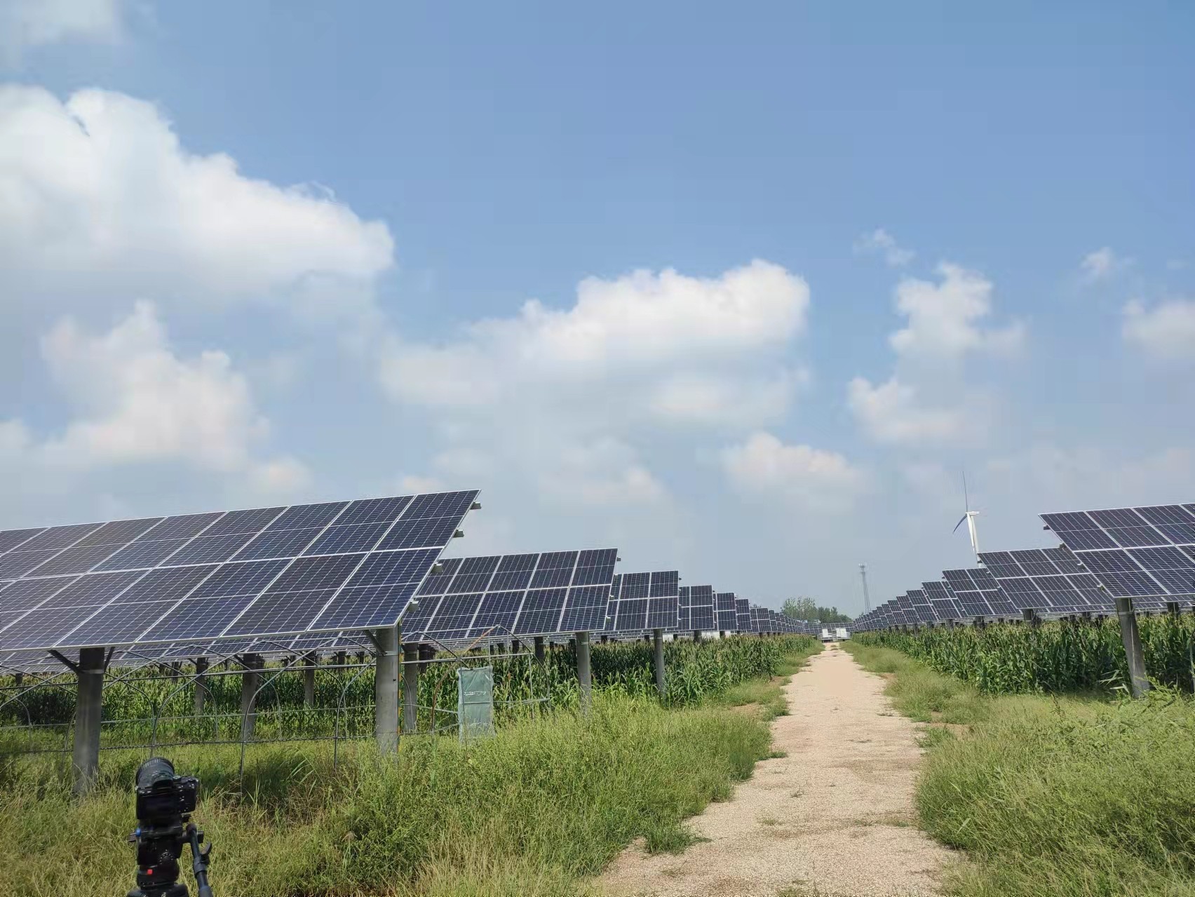 ��ҳ| ����ᡤjnh�й��ٷ���վ