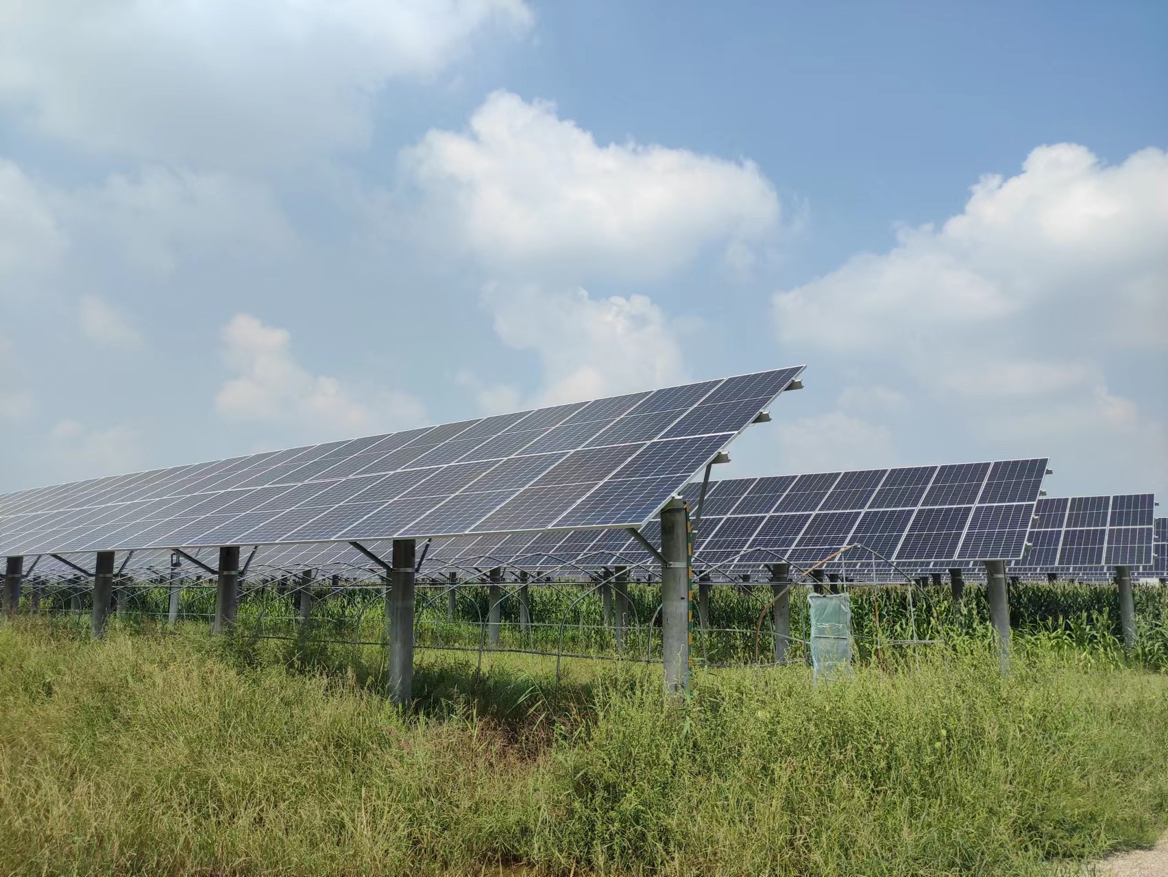 ��ҳ| ����ᡤjnh�й��ٷ���վ